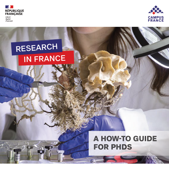 Research in France: a how-to guide for PHDs