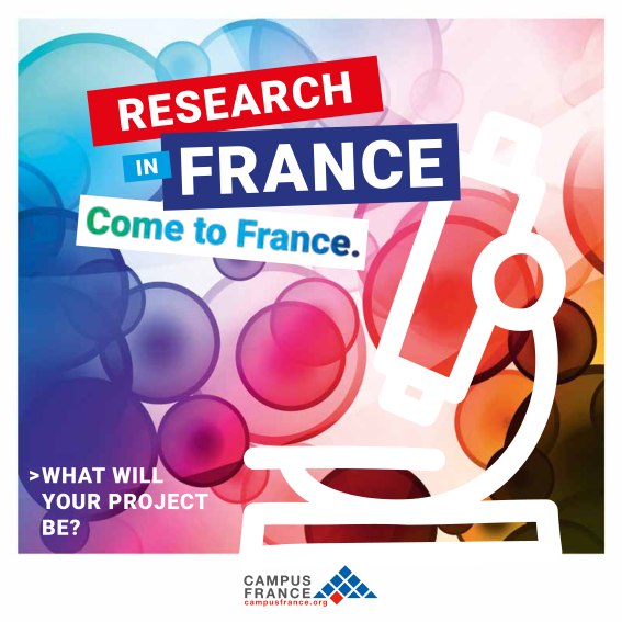 Research in France > What will your project be?