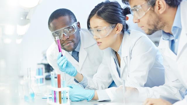 Jeunes chercheurs internationaux dans un laboratoire