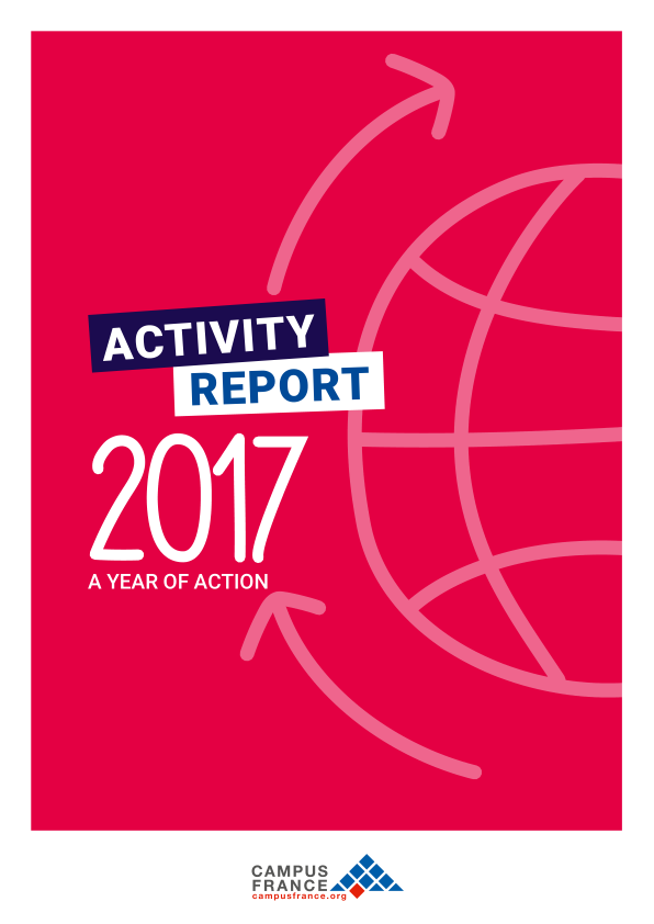 Activity Report 2017