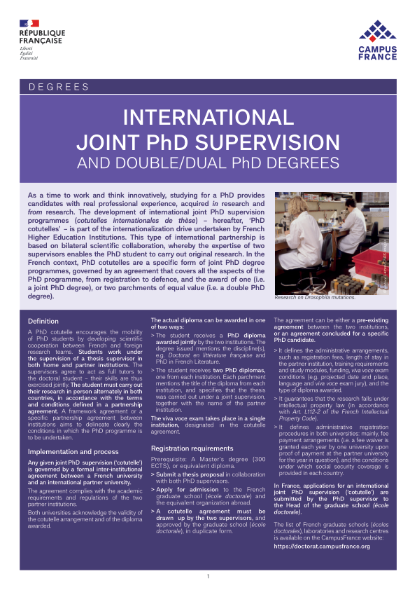 International joint PhD supervision and double/dual PhD degrees