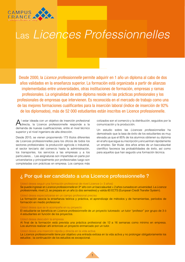 Las Licences Professionnelles