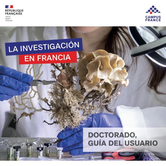 La investigación en Francia : Doctorado, guía del usario