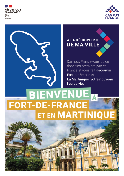 Fort-de-France et La Martinique