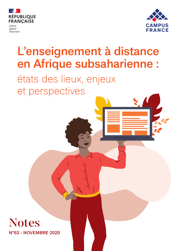 L'enseignement à distance en Afrique subsaharienne : états des lieux, enjeux et perspectives