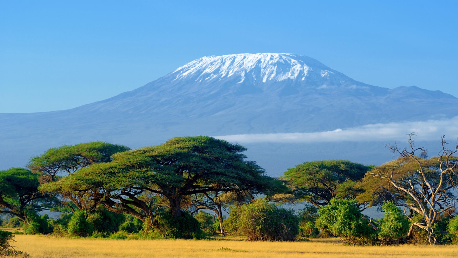 Snow on top of Mount Kilimanjaro in Amboseli