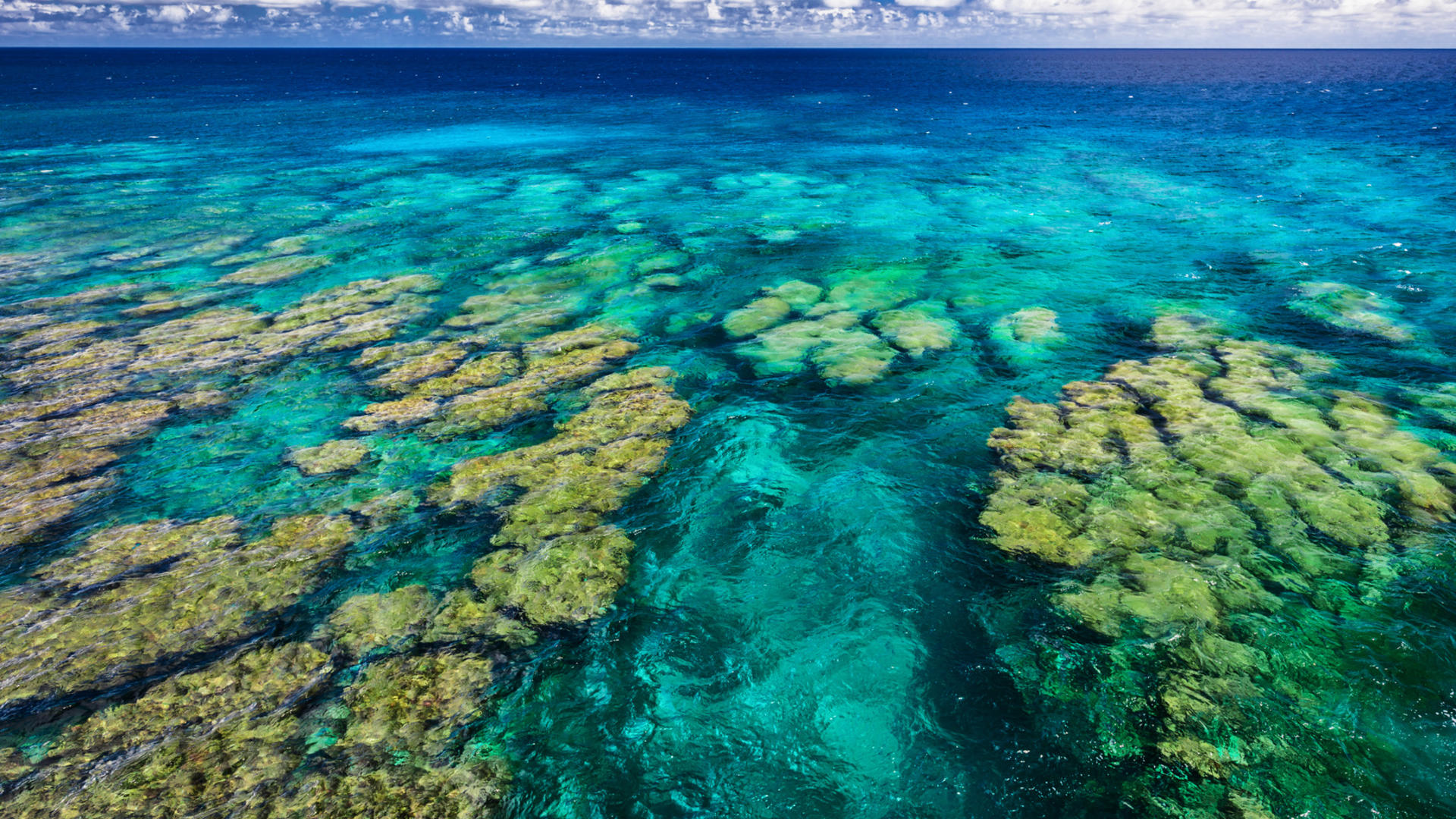 mopga corail nature fiji