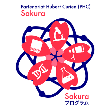 PHC Sakura