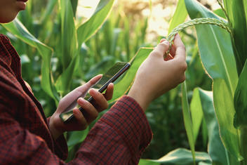 Agricultrice