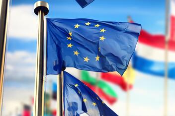 Drapeaux des pays de l'Union Européenne