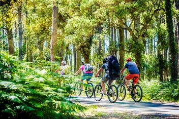 Balade à vélo dans les Landes