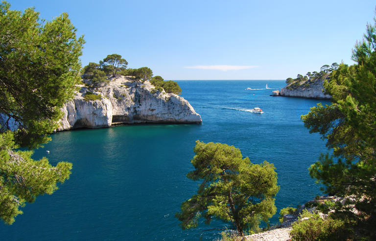 hospitality tourism management en francais