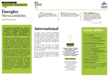 Fiche domaine énergies renouvelables