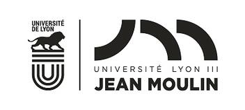 Logo Université Lyon 3