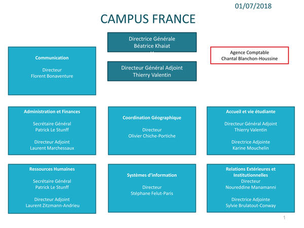 Organigramme juillet 2018