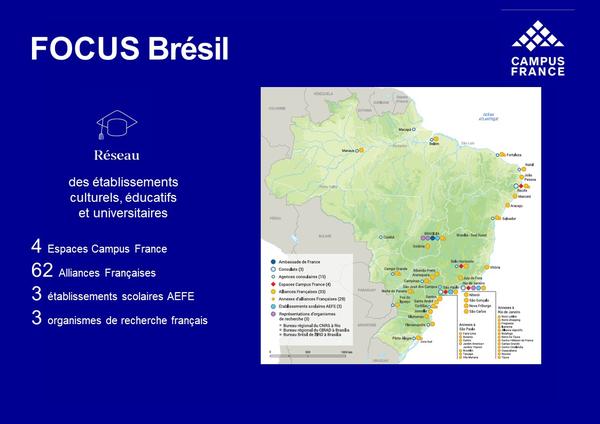 Focus Brésil - le réseau