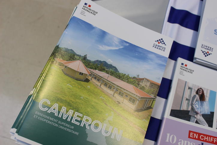 Nouvelle édition du Focus Pays Cameroun