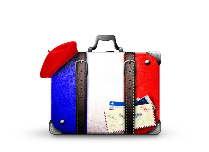 Valise tricolore