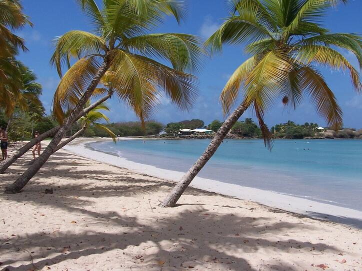 Plage de Martinique Plage de Martinique