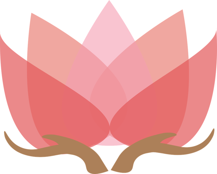 PHC Hoa Sen Lotus
