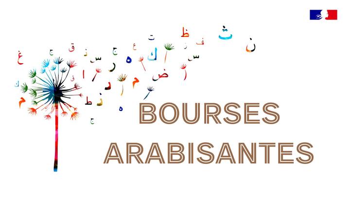 Programme de bourses arabisantes