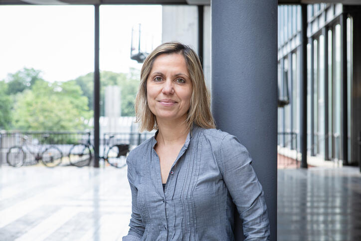 Eleni Diamanti CNRS
