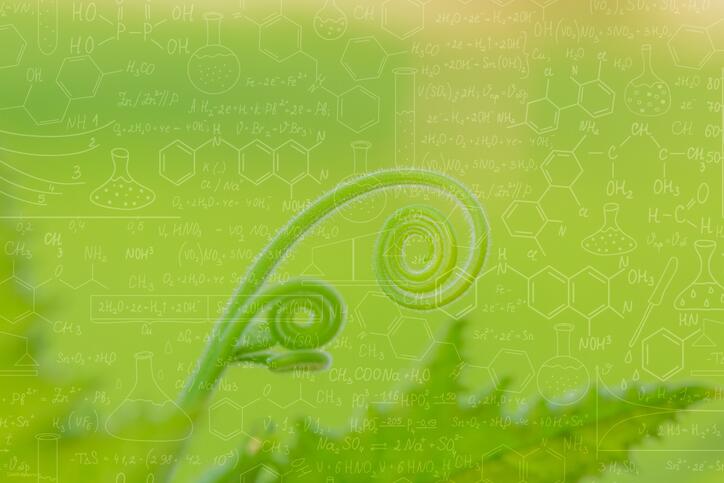 Mathématiques pour le vivant, l'environnement et la société