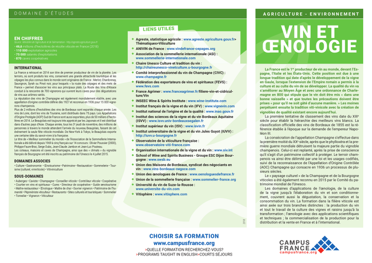 Vin et oenologie