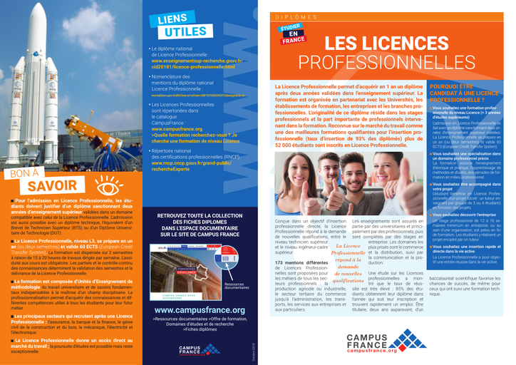 Les Licences Professionnelles