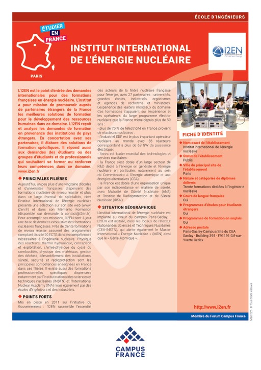 Institut international de l'énergie nucléaire