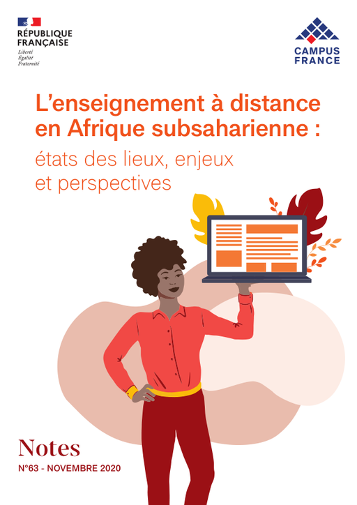 L'enseignement à distance en Afrique subsaharienne : états des lieux, enjeux et perspectives