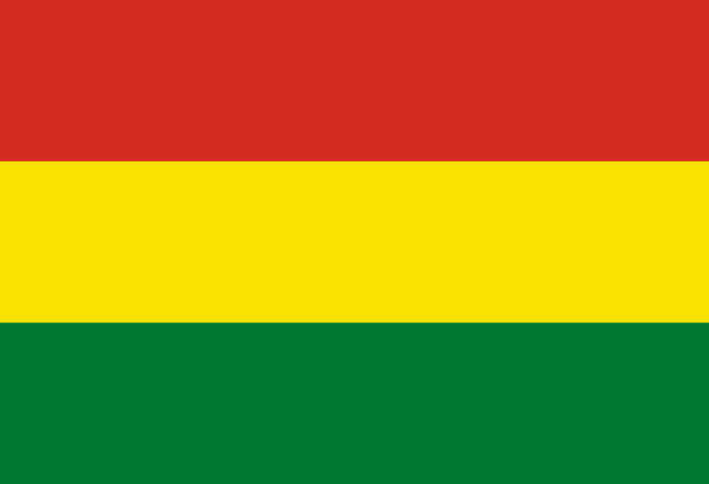 Drapeau : Bolivie